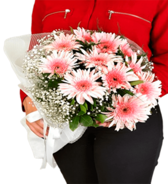 Pembe Gerbera Buketİ